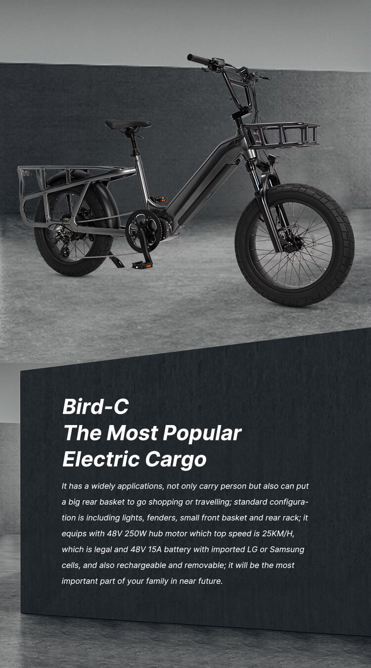 Bird-C